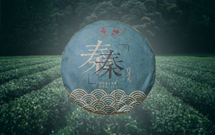 秦.png