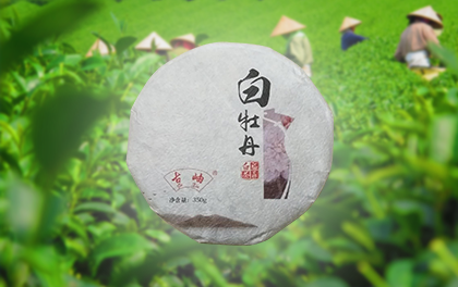 白牡丹2.png