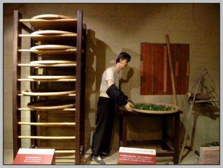 怎么将云南岩荼初制晒青成普洱茶的操作步骤及介绍