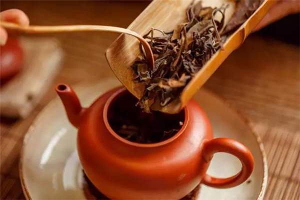 如何选择适合自己的茶？喝什么茶能达到健康养生效果？