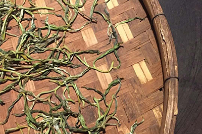 茶园风采