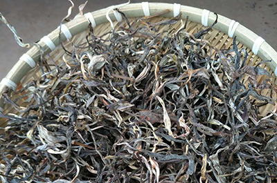 茶园 风采