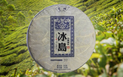 冰岛青龙票古树茶