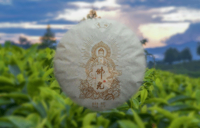 佛光（大树熟茶）