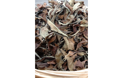 古树白（散茶）