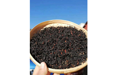 古树野生红茶（散茶）