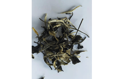 月光白（散茶）