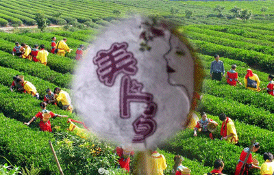 美人白（女神版）